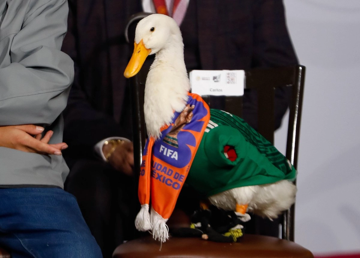 la-marca-pato-merlin-pertenece-a-la-familia-gomez-impi_0b9dba9d-8ac4-4c4e-aec1-683a884e1d8e_medialjnimgndimagefullsize